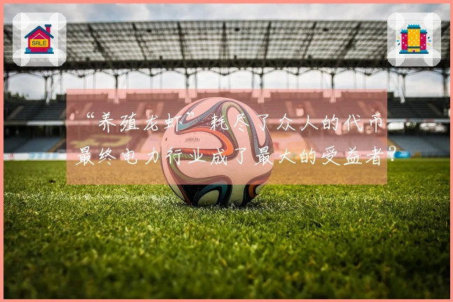 “养殖龙虾”耗尽了众人的代币，最终电力行业成了最大的受益者？