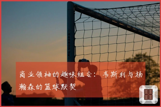 商业领袖的趣味组合：韦斯利与杨瀚森的篮球默契